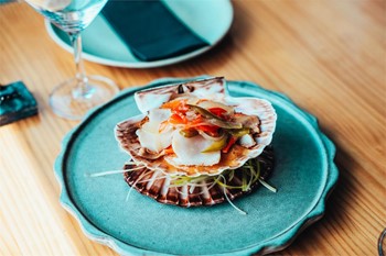 Tataki de vieira gallega. - Imagen 1